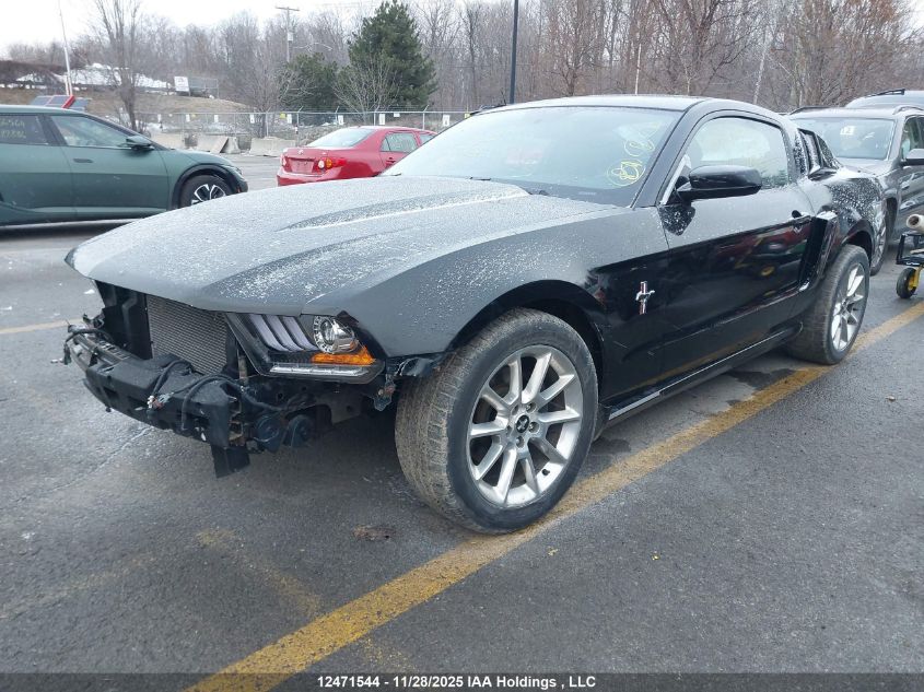 2010 Ford Mustang V6/Value Leader VIN: 1ZVBP8AN5A5128829 Lot: 12471544
