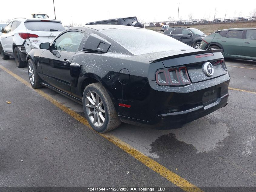 2010 Ford Mustang V6/Value Leader VIN: 1ZVBP8AN5A5128829 Lot: 12471544