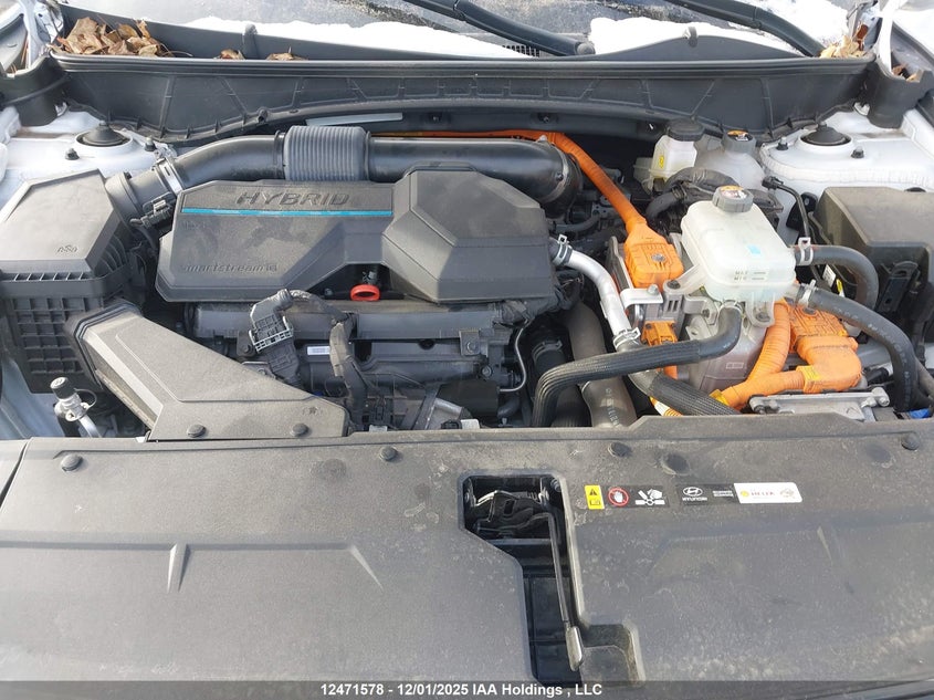 KM8JDDD22RU161852 2024 HYUNDAI TUCSON photo no. 10