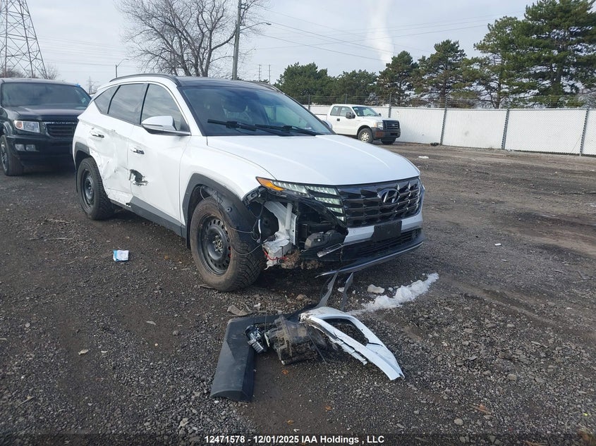 KM8JDDD22RU161852 2024 HYUNDAI TUCSON photo no. 13