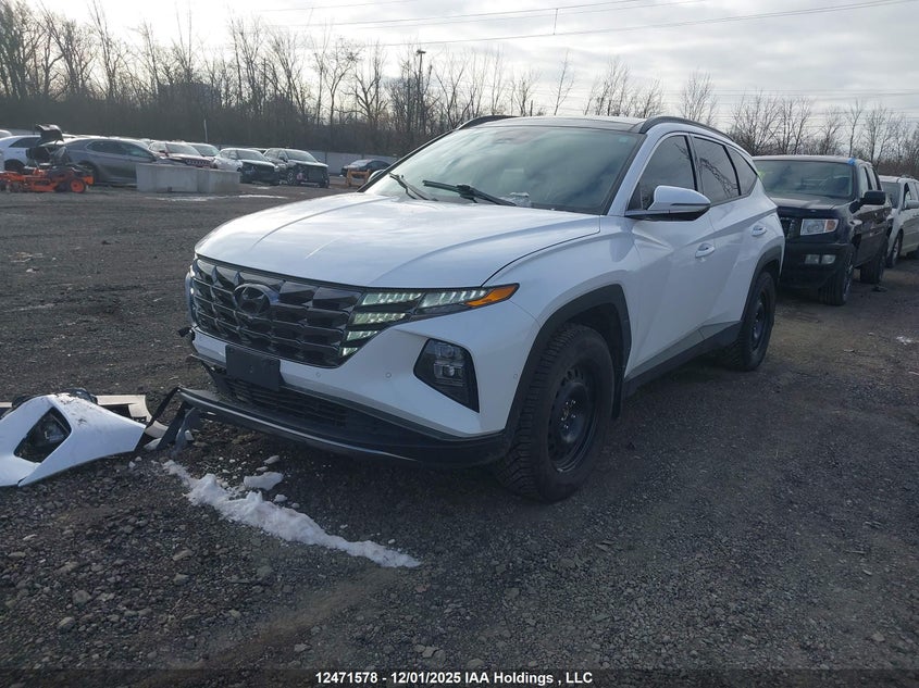 KM8JDDD22RU161852 2024 HYUNDAI TUCSON photo no. 2
