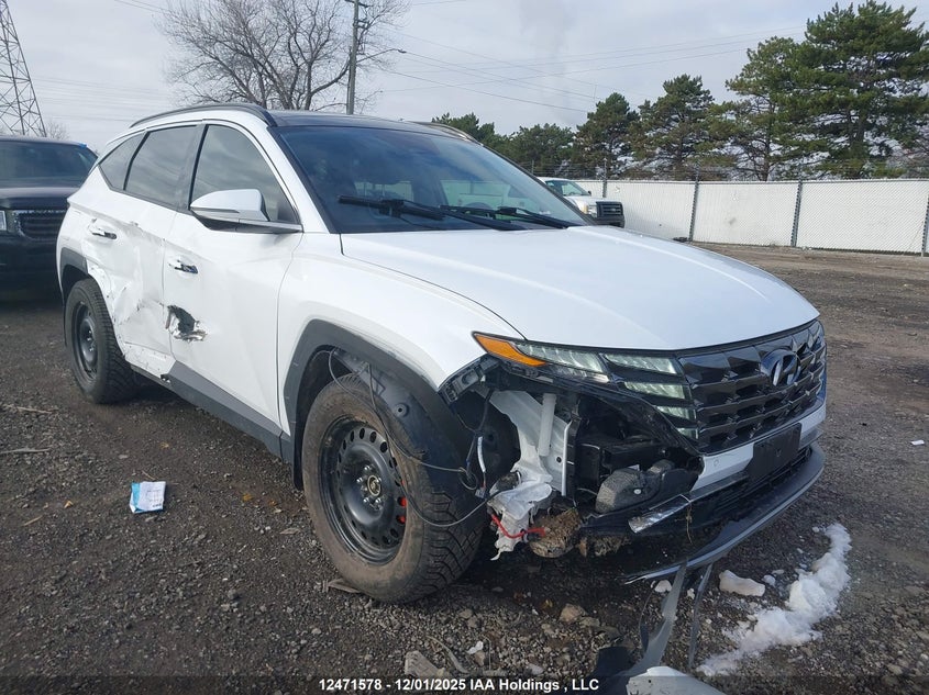 KM8JDDD22RU161852 2024 HYUNDAI TUCSON photo no. 6
