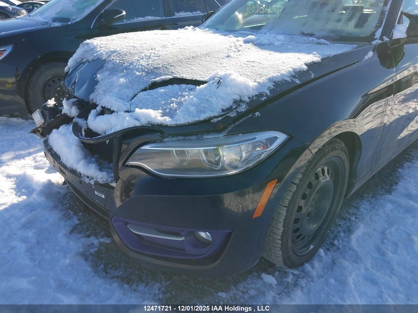 WBA1F5C53EV246068 2014 BMW 2ER photo no. 21