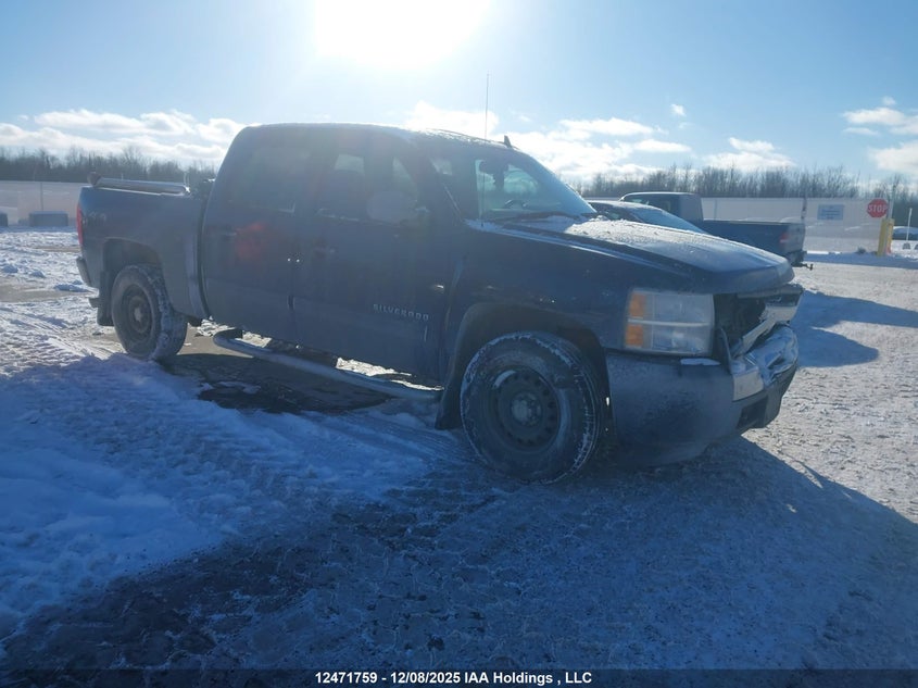3GCRKREA1AG175149 2010 CHEVROLET SILVERADO photo no. 12