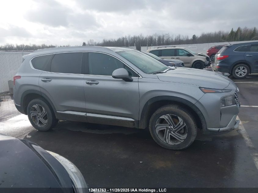 2023 Hyundai Santa Fe Sel Premium VIN: 5NMS3DAJ3PH603789 Lot: 12471763