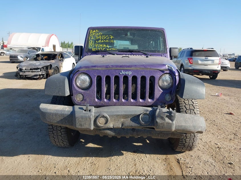 2017 Jeep Wrangler Sport VIN: 1C4AJWAG8HL729194 Lot: 12391557X