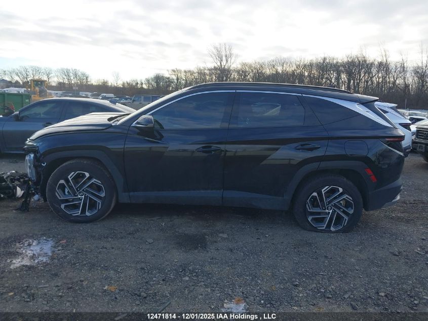 2026 Hyundai Tucson Sel Convenience VIN: KM8JCDD16TU408663 Lot: 12471814