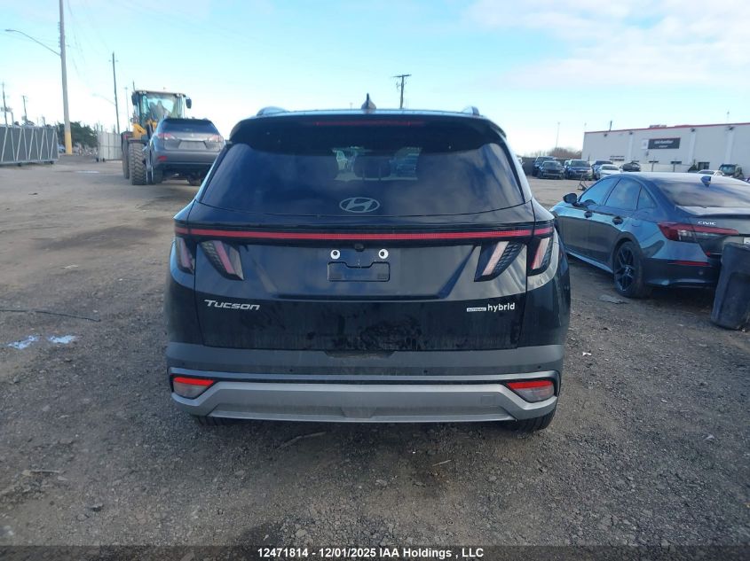 2026 Hyundai Tucson Sel Convenience VIN: KM8JCDD16TU408663 Lot: 12471814