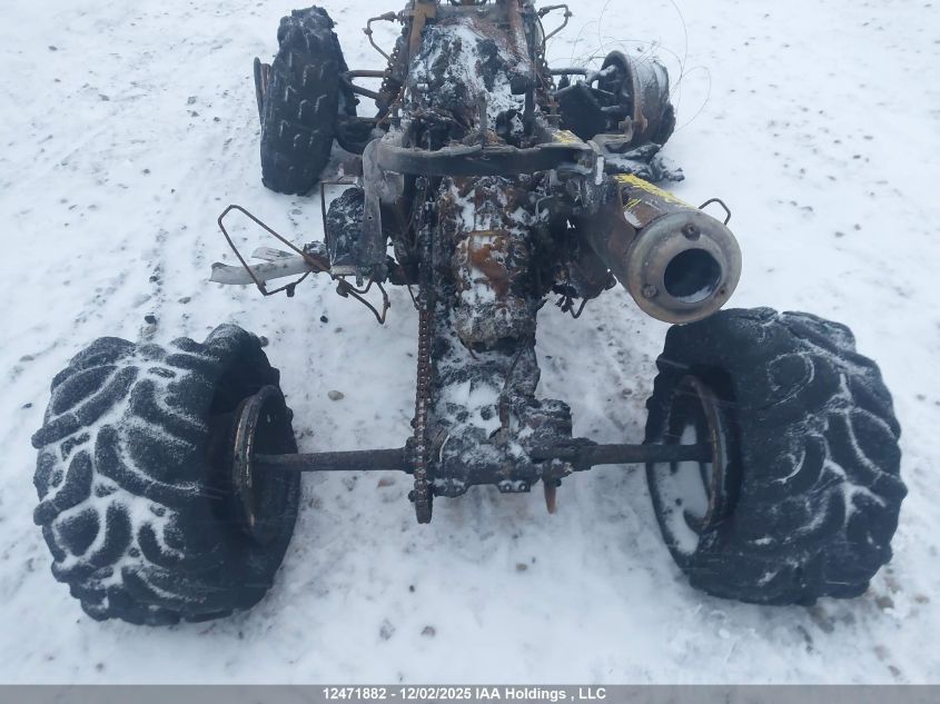 2001 Honda Trx300 Ex VIN: JH3TE19251K600210 Lot: 12471882