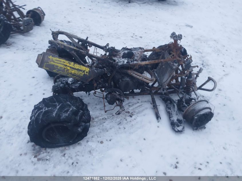 JH3TE19251K600210 2001 HONDA TRX photo no. 5