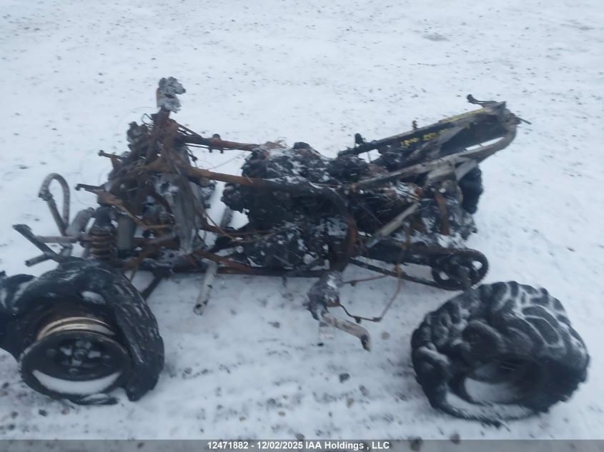 2001 Honda Trx300 Ex VIN: JH3TE19251K600210 Lot: 12471882