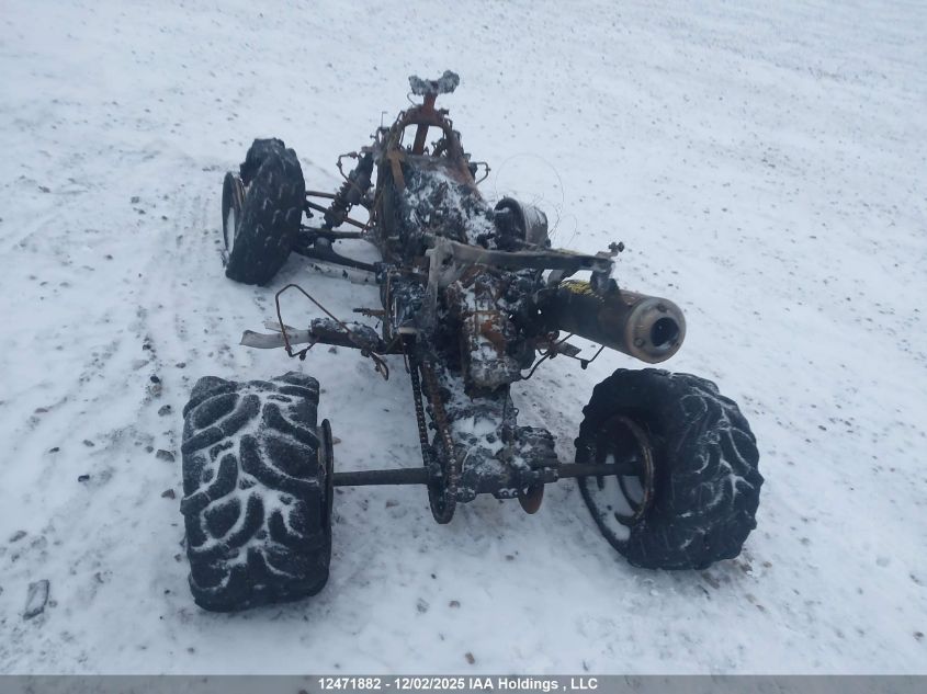 2001 Honda Trx300 Ex VIN: JH3TE19251K600210 Lot: 12471882