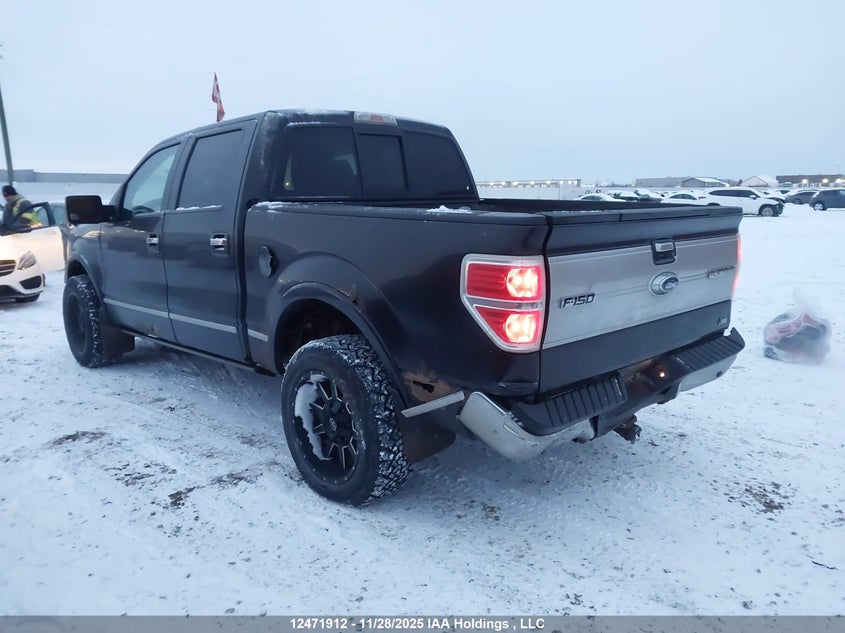1FTFW1EV2AFA88373 2010 FORD F-150 photo no. 3