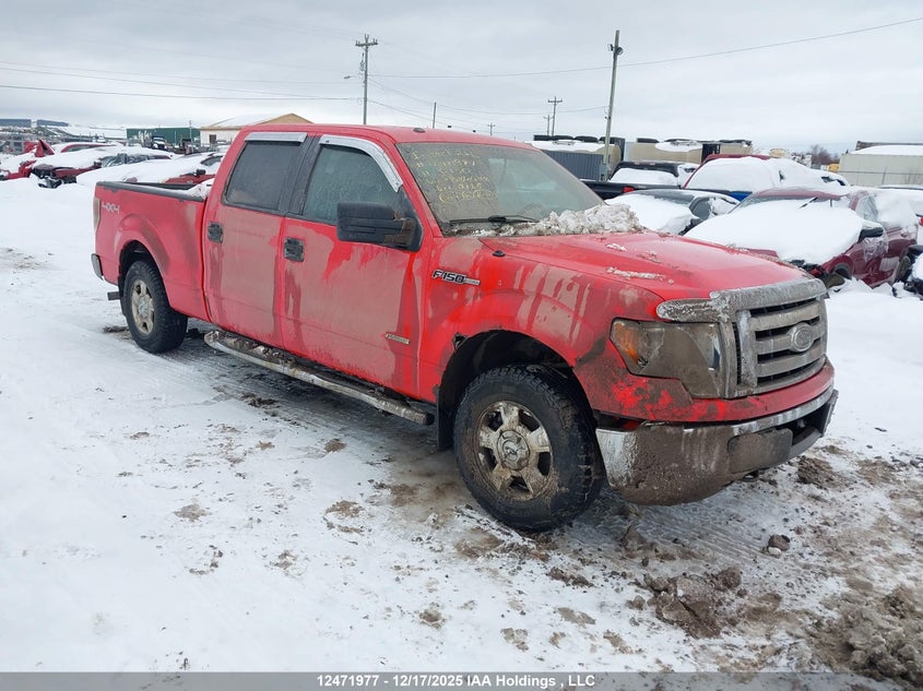 1FTFW1ET1BFB86648 2011 FORD F-150 photo no. 19
