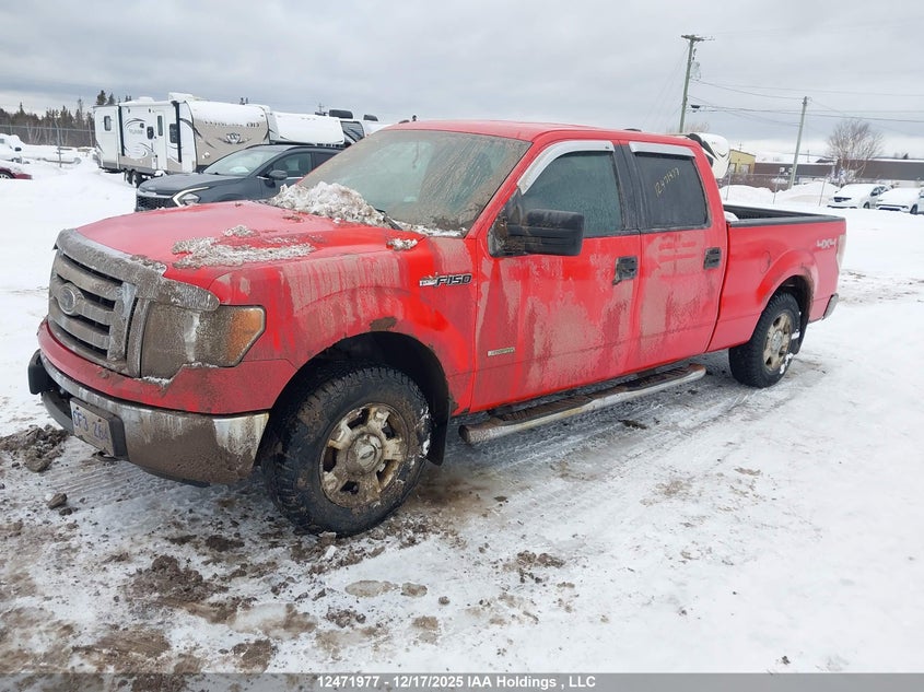 1FTFW1ET1BFB86648 2011 FORD F-150 photo no. 2