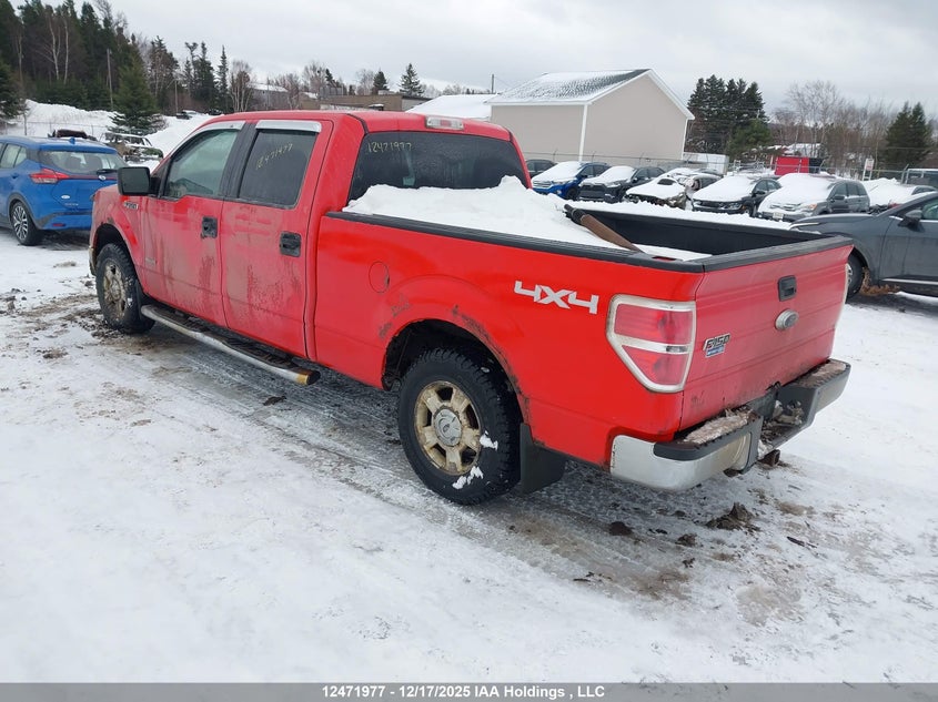 1FTFW1ET1BFB86648 2011 FORD F-150 photo no. 3