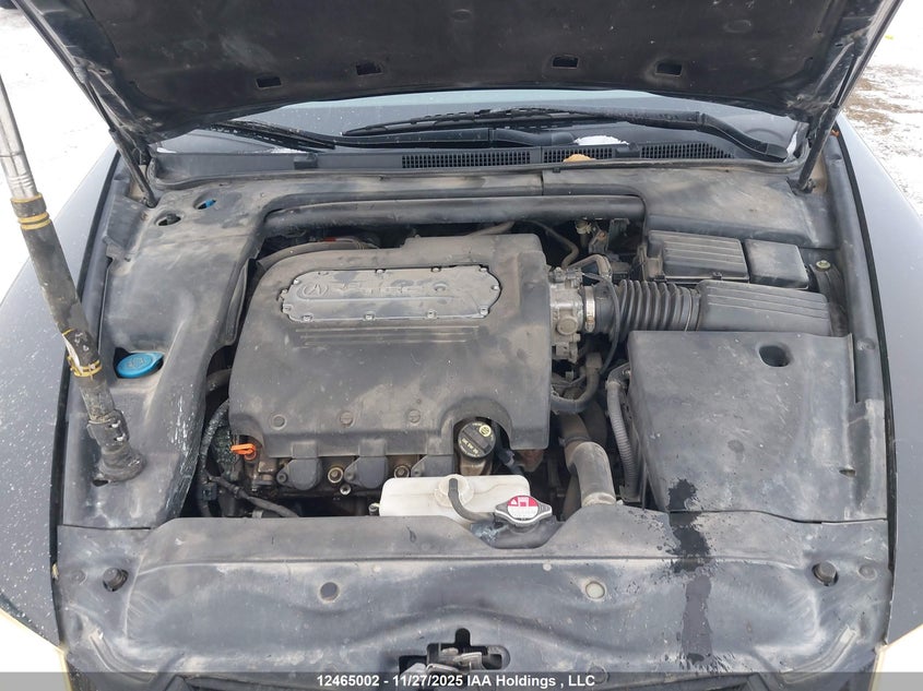 2006 Acura Tl VIN: 19UUA66236A800323 Lot: 12465002X