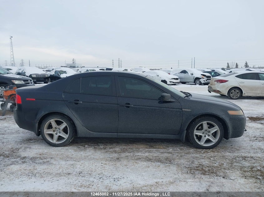 2006 Acura Tl VIN: 19UUA66236A800323 Lot: 12465002X