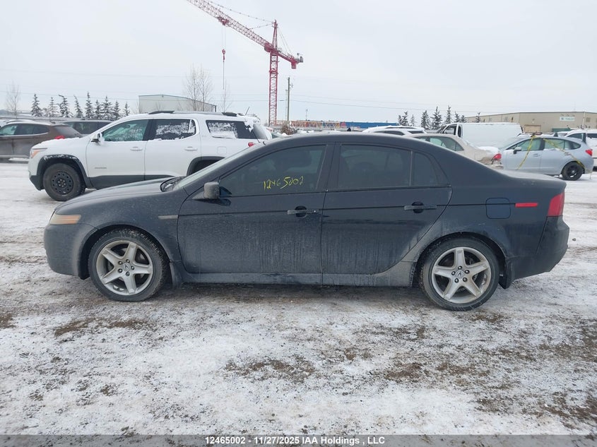2006 Acura Tl VIN: 19UUA66236A800323 Lot: 12465002X