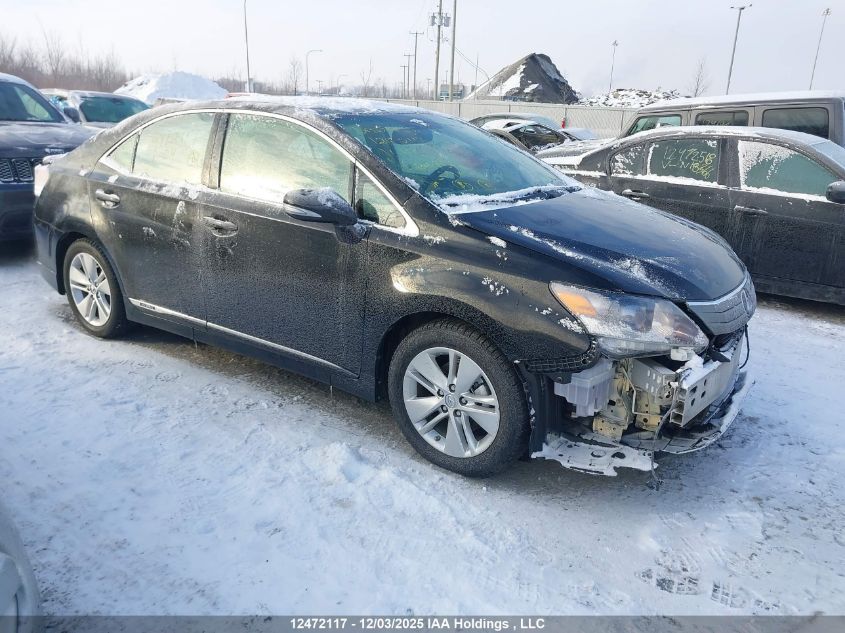 2011 Lexus Hs 250H