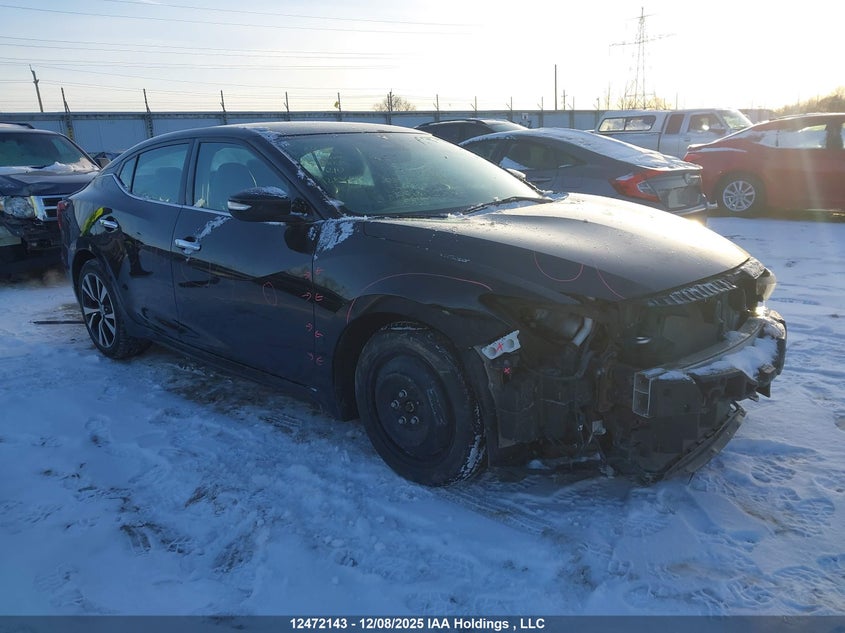 1N4AA6AP0GC441738 2016 Nissan Maxima Platinum/Sl/Sr/Sv auction photo 1