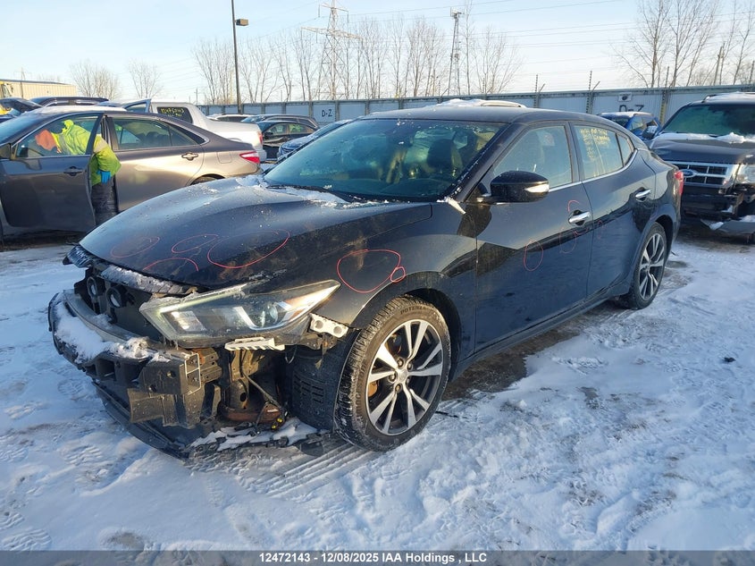 1N4AA6AP0GC441738 2016 NISSAN MAXIMA photo no. 2