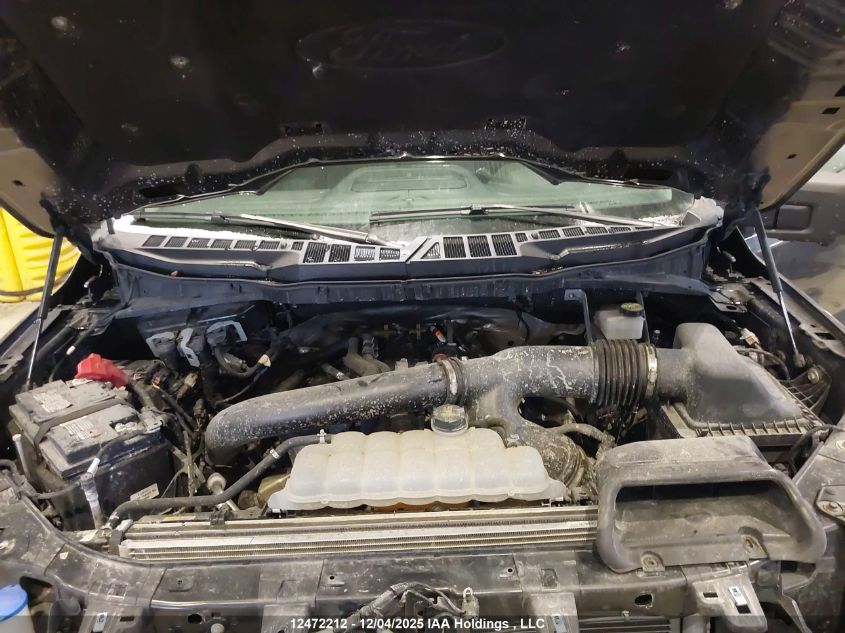 2024 Ford F150 Xlt VIN: 1FTFW3L82RKE23319 Lot: 12472212