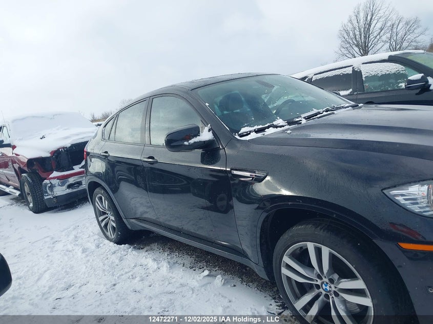 5YMGZ0C50BLK14393 2011 BMW X6 M photo no. 13