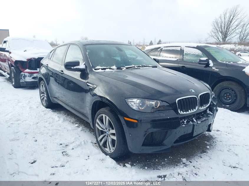 5YMGZ0C50BLK14393 2011 BMW X6 M photo no. 1