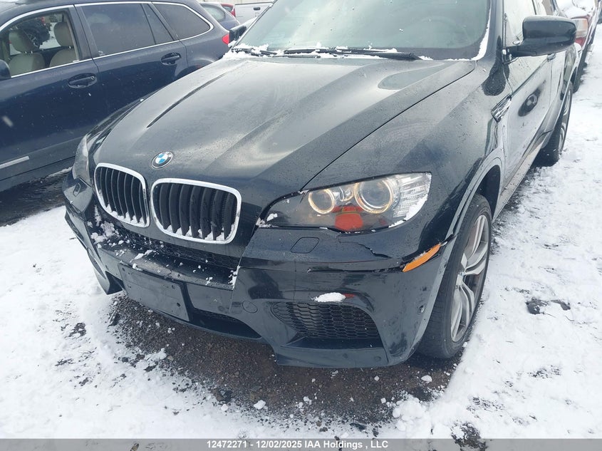 5YMGZ0C50BLK14393 2011 BMW X6 M photo no. 6