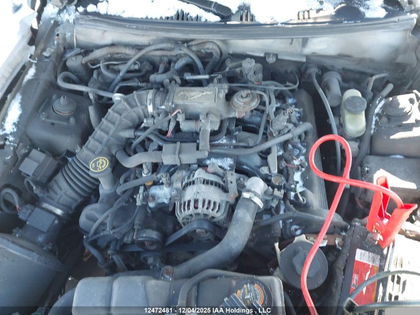 2000 Ford Mustang Gt VIN: 1FAFP45X5YF189181 Lot: 12472481