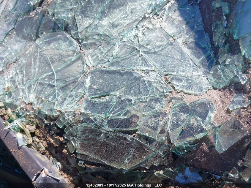 2008 Volkswagen City Golf VIN: 9BWEL41J084020951 Lot: 12432081X