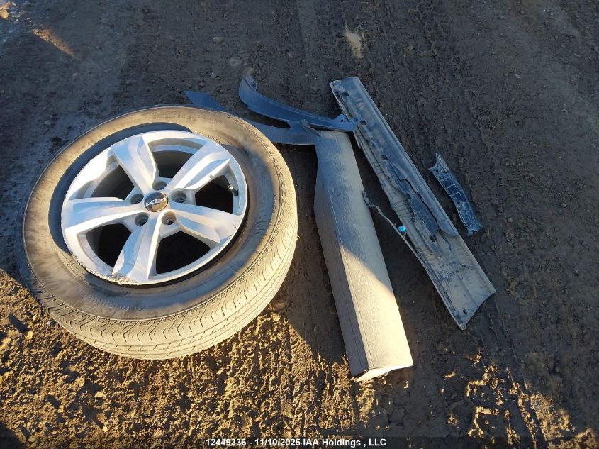 2025 Kia Sorento 2.5L Lx VIN: 5XYRGDJC4SG313391 Lot: 12449336X