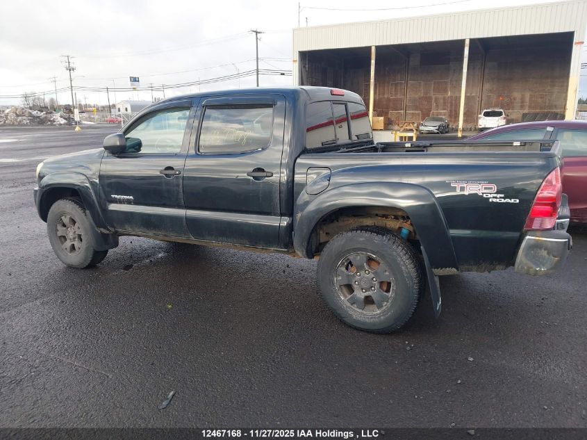 2007 Toyota Tacoma Base V6 VIN: 3TMLU42N87M010817 Lot: 12467168X