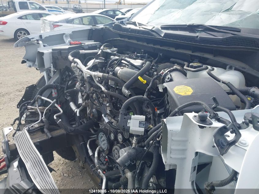 2025 Chevrolet Silverado 1500 4Wd Lt Trail Boss/Lt Trail Boss VIN: 3GCUKFE83SG232832 Lot: 12419805X