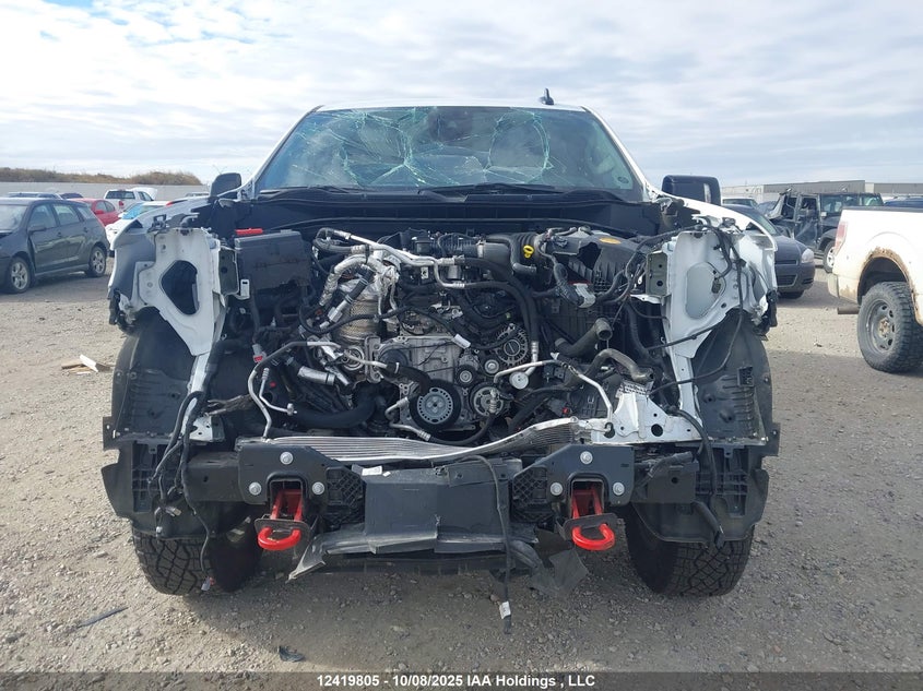 2025 Chevrolet Silverado 1500 4Wd Lt Trail Boss/Lt Trail Boss VIN: 3GCUKFE83SG232832 Lot: 12419805X