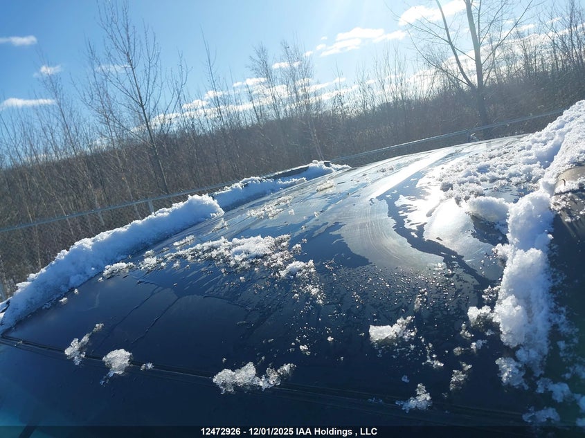 5TELU42N27Z419771 2007 TOYOTA TACOMA photo no. 19