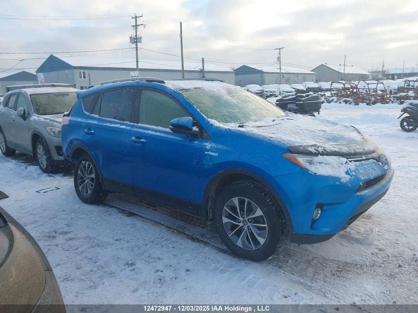 JTMRJREV6HD143634 2017 TOYOTA RAV 4 photo no. 14