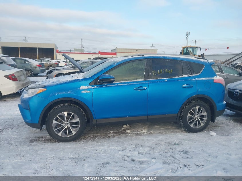 JTMRJREV6HD143634 2017 TOYOTA RAV 4 photo no. 15