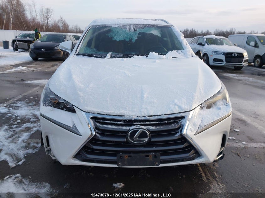 JTJBARBZ3F2032022 2015 LEXUS NX photo no. 12