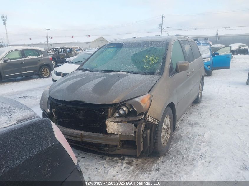 2008 Honda Odyssey Exl VIN: 5FNRL38668B508401 Lot: 12473189