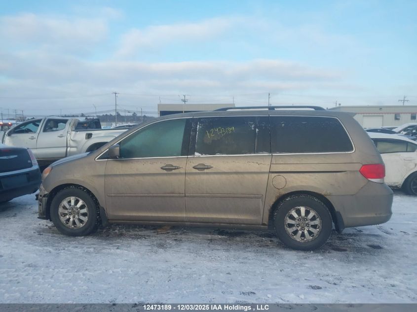 2008 Honda Odyssey Exl VIN: 5FNRL38668B508401 Lot: 12473189