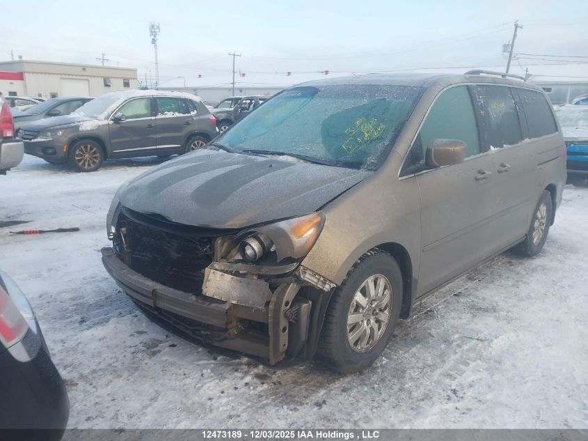 2008 Honda Odyssey Exl VIN: 5FNRL38668B508401 Lot: 12473189