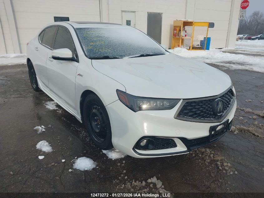 2019 Acura TLX