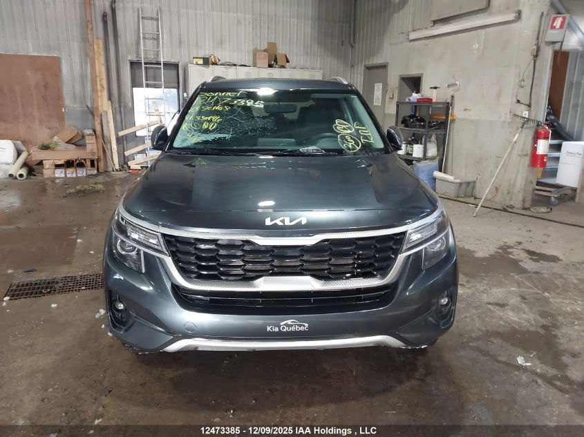 2023 Kia Seltos Lx VIN: KNDEPCAA9P7350996 Lot: 12473385