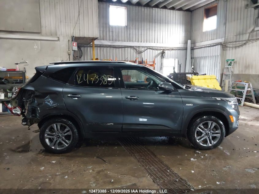 2023 Kia Seltos Lx VIN: KNDEPCAA9P7350996 Lot: 12473385