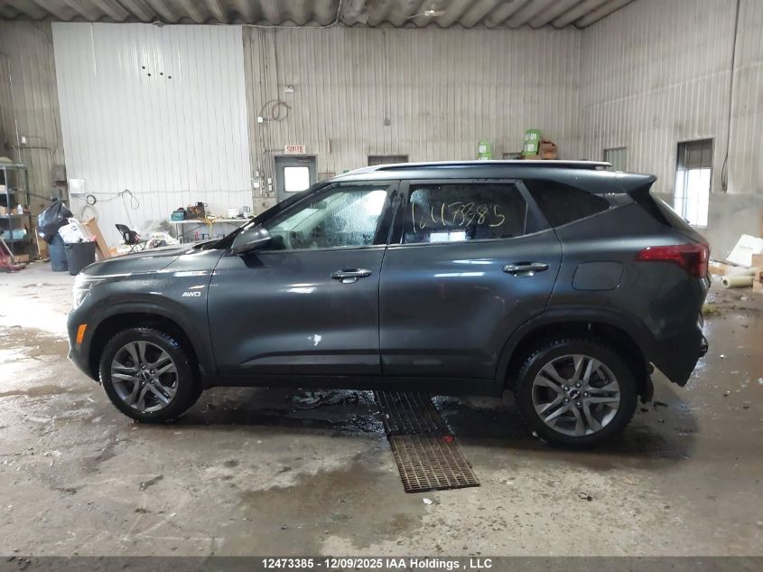 2023 Kia Seltos Lx VIN: KNDEPCAA9P7350996 Lot: 12473385