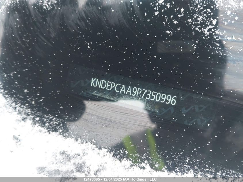 2023 Kia Seltos Lx VIN: KNDEPCAA9P7350996 Lot: 12473385