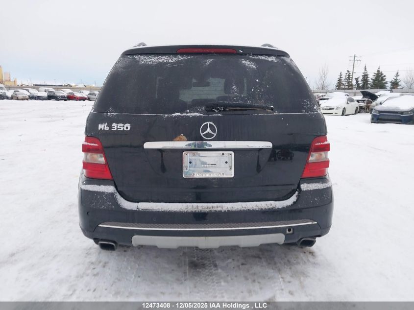 2006 Mercedes-Benz Ml 350 4Matic VIN: 4JGBB86EX6A098425 Lot: 12473408