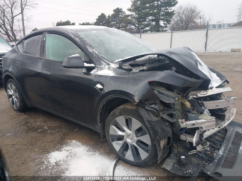 2024 Tesla Model Y Long Range VIN: 7SAYGDEE3RF989407 Lot: 12473425